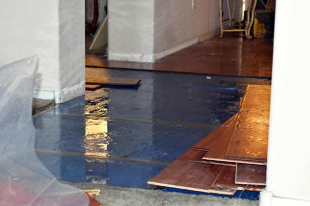 Professional Basement Flood Cleanup technician working in Yermo, CA